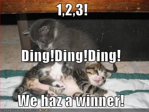 123-dingdingding-we-haz-a-winner.jpg