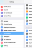 iPadAccessibilitySettings