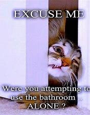 catbathroomdoor.png
