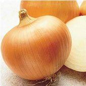 Yellow-Sweet-Spanish-Onion-Seeds.jpg