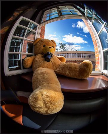 Teddy-Bear-125.jpg