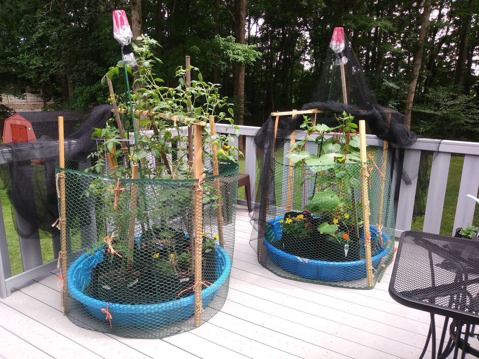 Kiddie Pool Garden.jpg