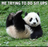 me-trying-to-do-sit-ups-funny-panda-memes-53334527(1).png