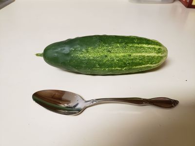 1st cuke.jpg
