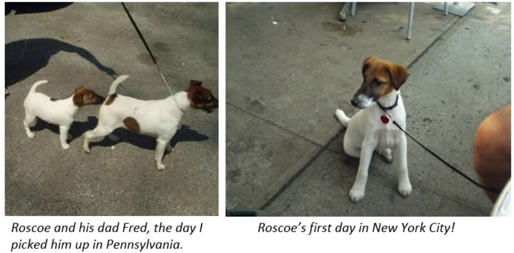 Change Roscoe.jpg