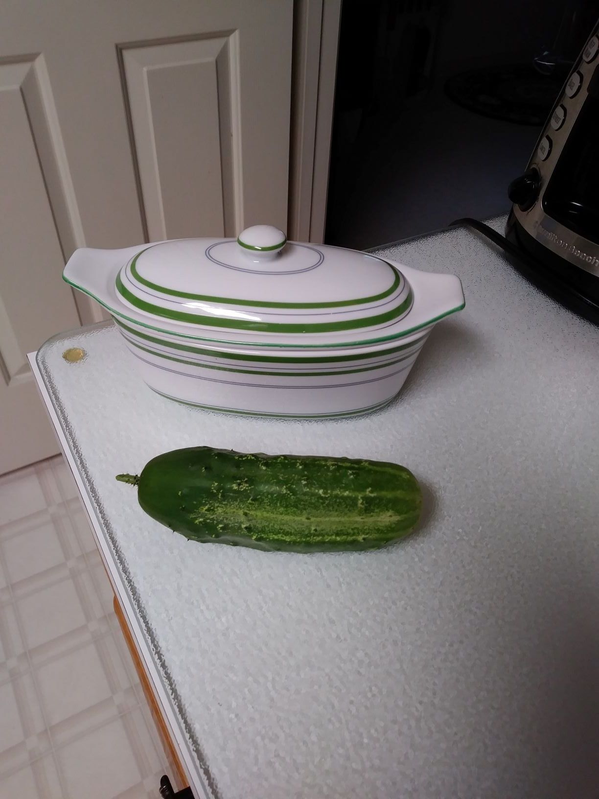 First Cuke.jpg