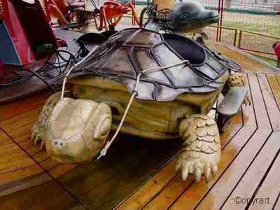 MGR Truman Tortoise.jpg