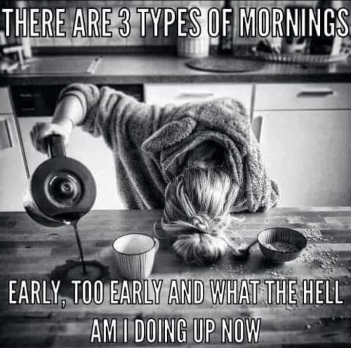 3 Types Of Morning..png