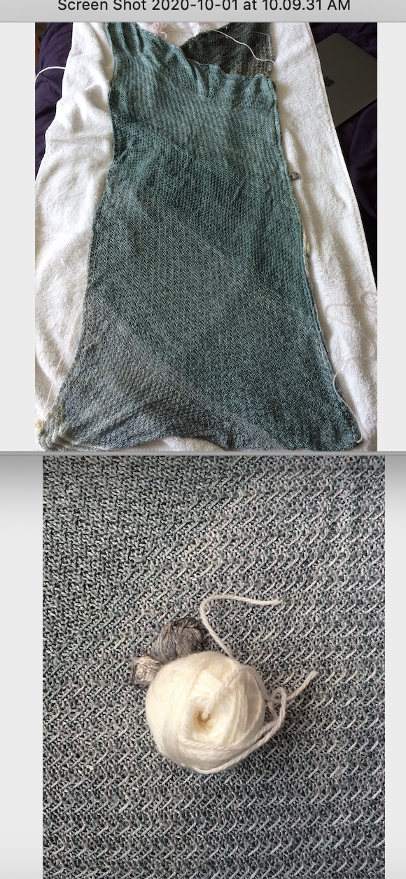 Screen Shot 2020-10-01 at 10.10.23 AM.png