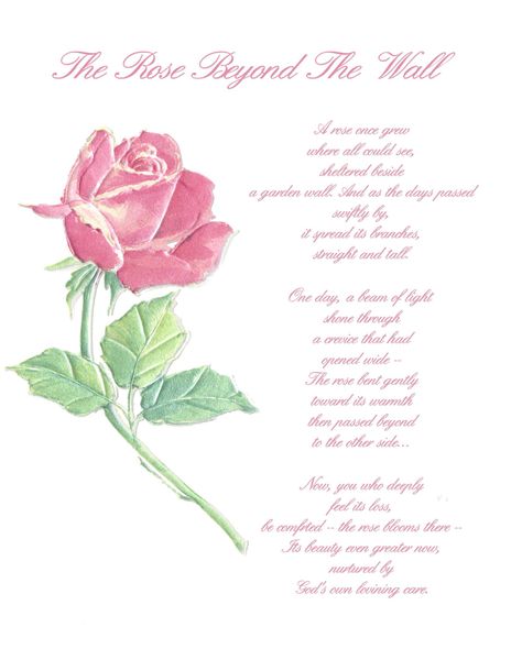 The Rose Beyond The Wall.jpg