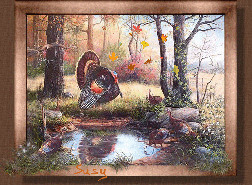 1#turkey.gif