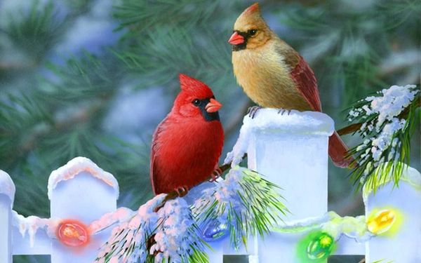 winterbirds.jpg