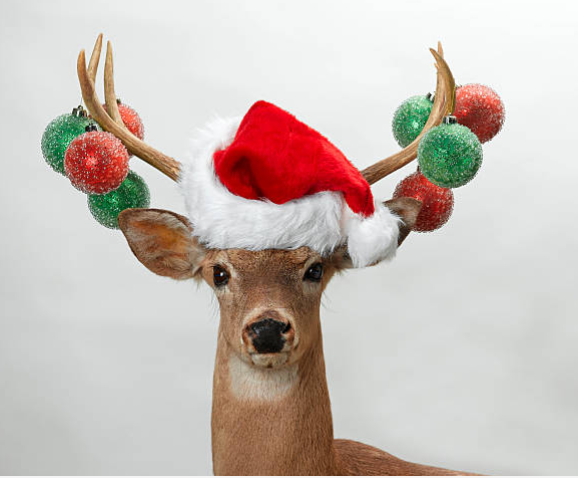 christmas deer.PNG