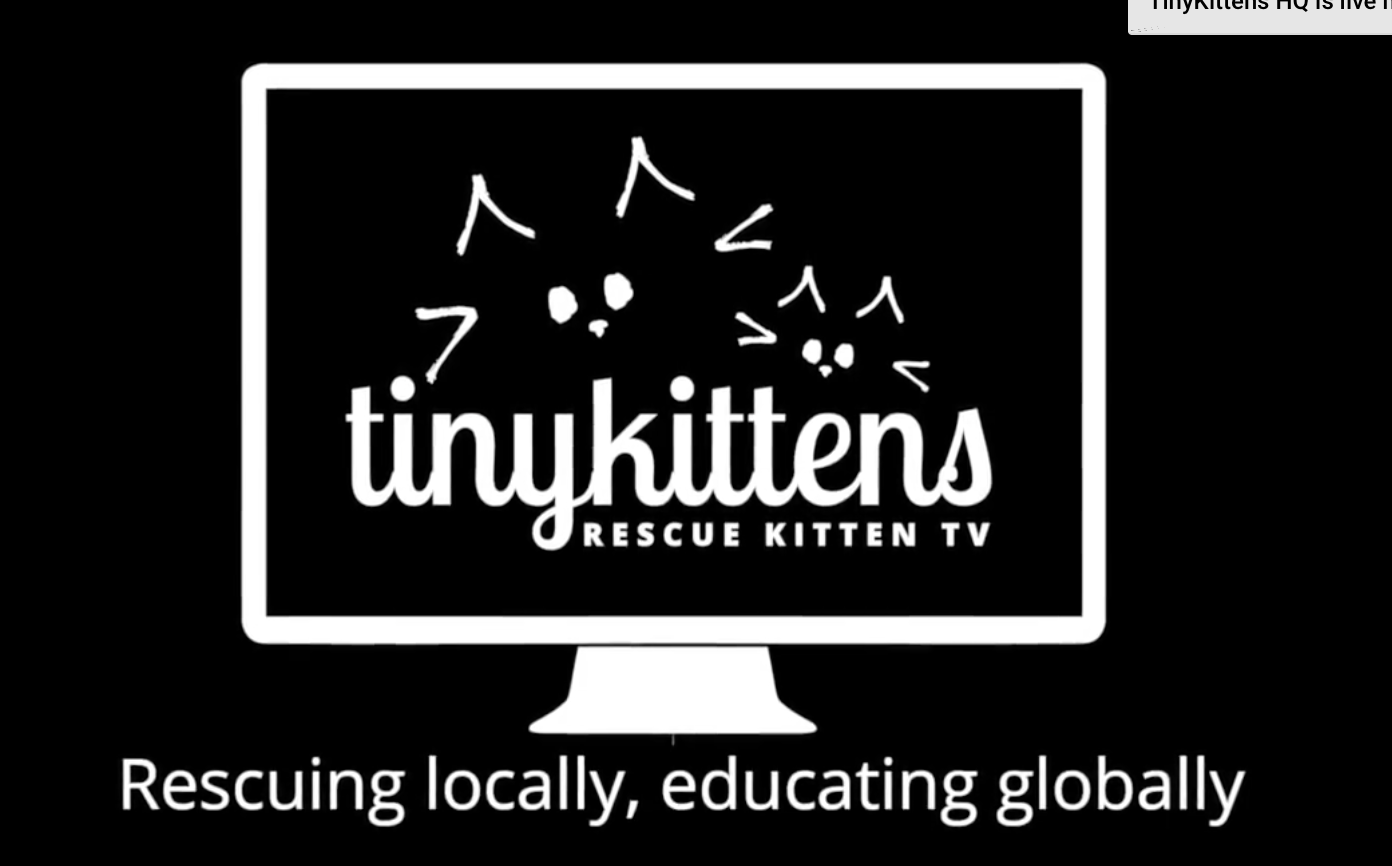 Screen Shot 2020-12-20 at 6.39.44 AM.png