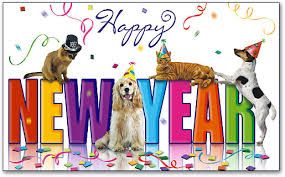 beautiful pet new year.jpg