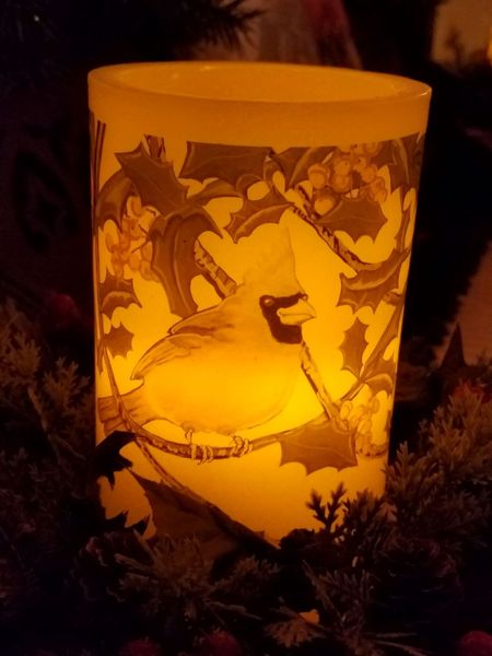 Cardinal Candle.jpg