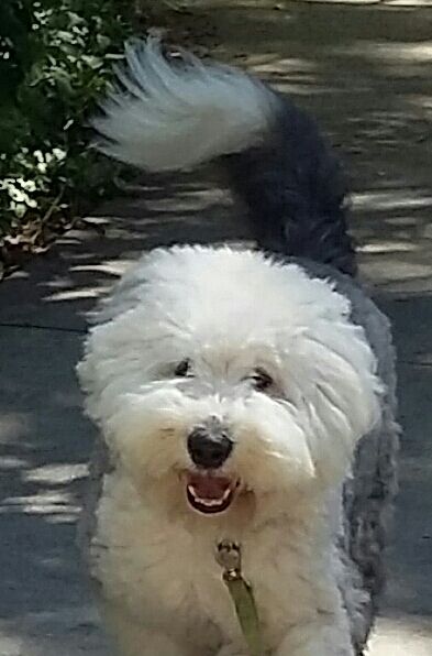 20190629_113721_009_01-1-1 (2).jpg