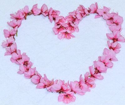 heart flowers