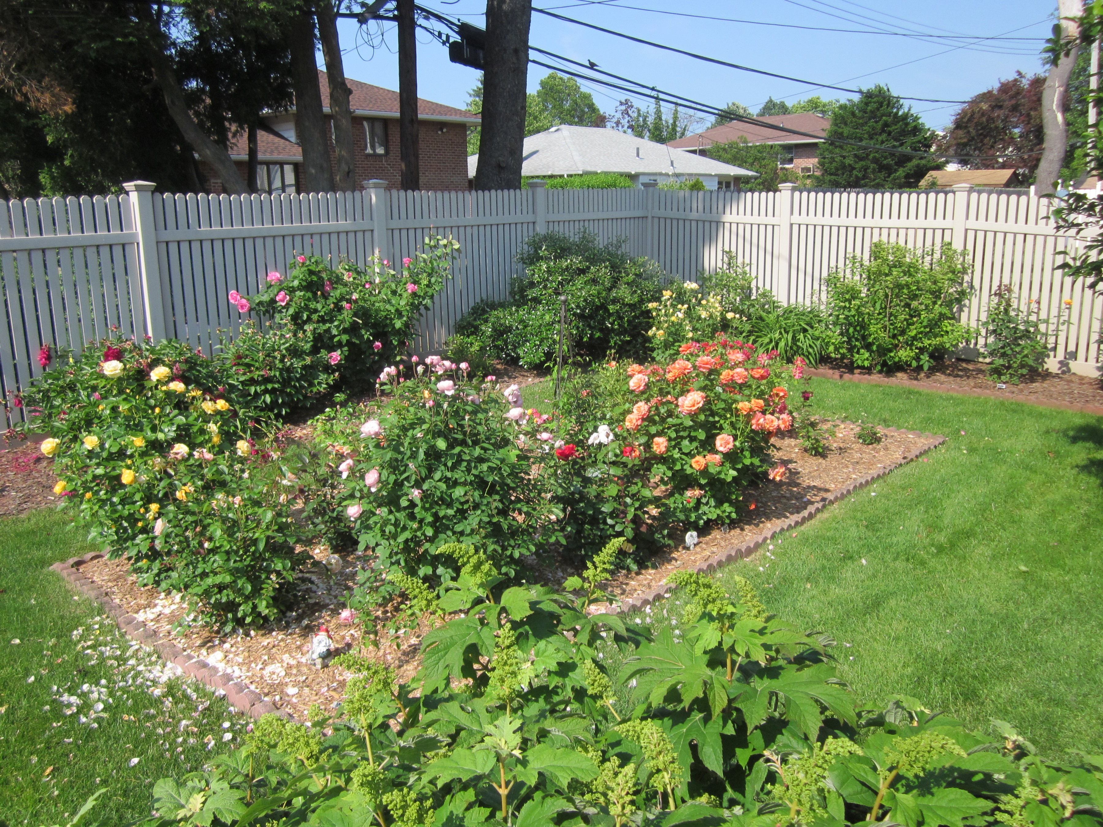 Rose Garden 2015.JPG