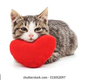 gray-kitten-red-heart-isolated-260nw-515052097.jpg