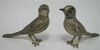 birds salt and pepper.jpg