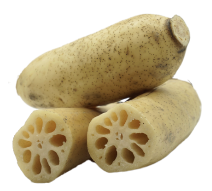 lotus root.PNG