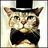 groom_cat_avatar_100x100_13830.jpg