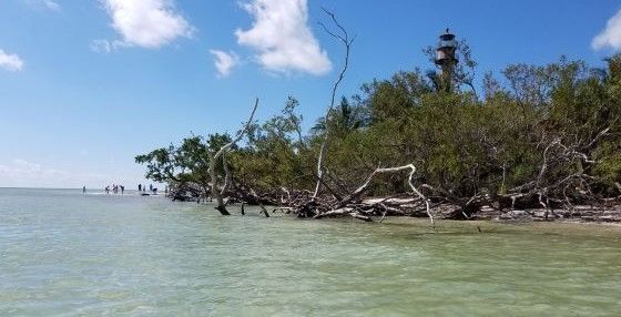 Sanibel2.jpg