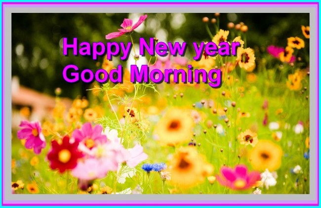 Happy-New-year-Good-morning-2016-With-Lovely-Flowers1-650x420.jpg