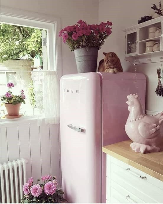 Finding my DREAM pink Smeg fridge in the charity shop 