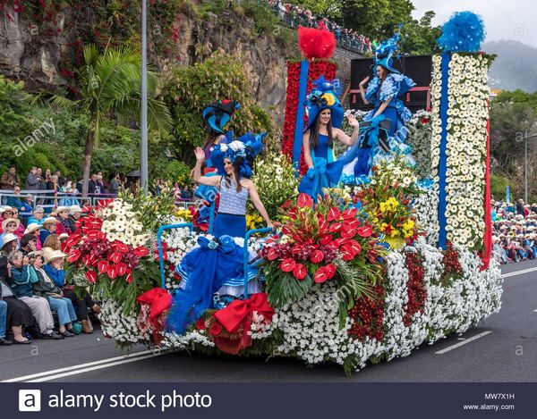 image.jpeg https___c7.alamy.com_comp_MW7X1H_festival-float-during-the-main-madeira-flower-festival-parade-MW7X1H.jpg