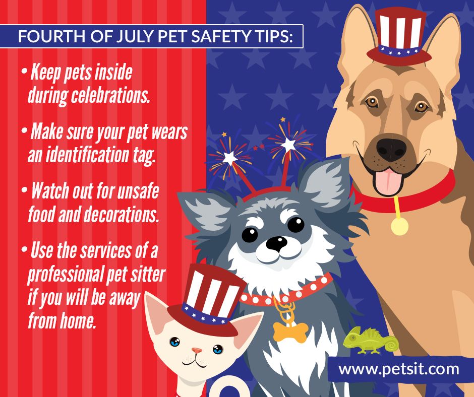 july2019_4th_of_july_safety_tips.jpg