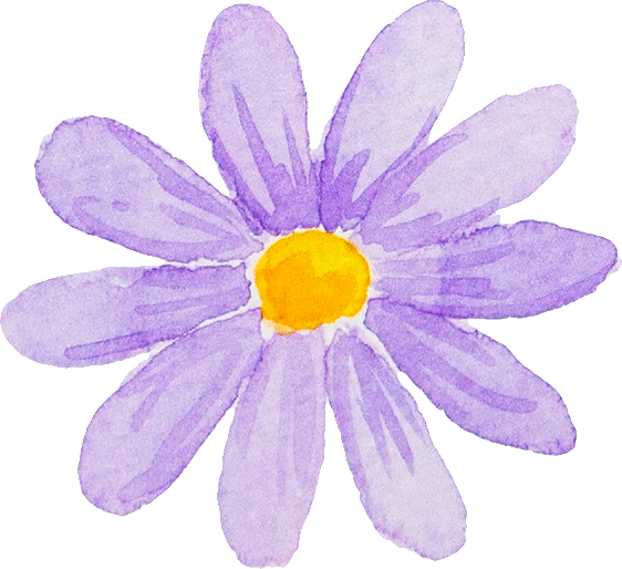 PurpleDaisies_30_daisy.png