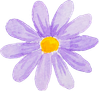 PurpleDaisies_30_daisy.png