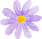 PurpleDaisies_30_daisy.png