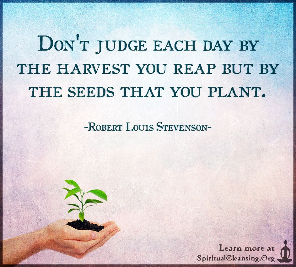Dont-judge-each-day-by-the-harvest-you-reap-but-by-the-seeds-that-you-plant..jpg