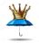Q Crown umbrella.jpg