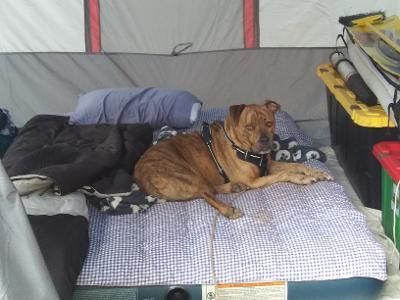 Kingston Camping.jpg