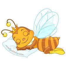 Q Queen bee sleeping.jpg