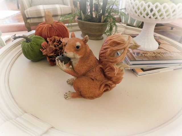 CT. Squirrel.jpg