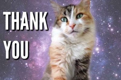 51-Thank-you-memes-with-cats-space-cat.jpg