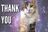 51-Thank-you-memes-with-cats-space-cat.jpg