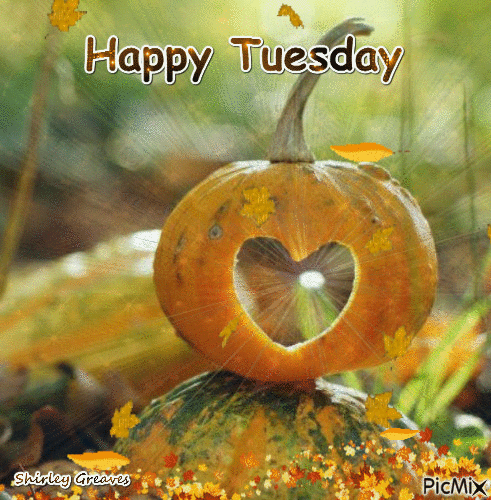 338807-Heart-Pumpkin-Happy-Tuesday-Gif.gif