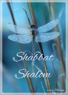 Shabbat Shalom.jpg