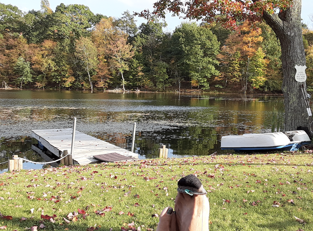 Screen Shot 2021-10-17 at 7.02.30 AM.png