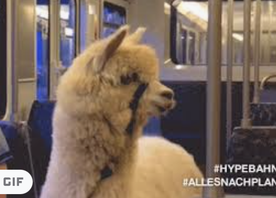 Screen Shot 2021-10-24 at 2.50.43 PM.png