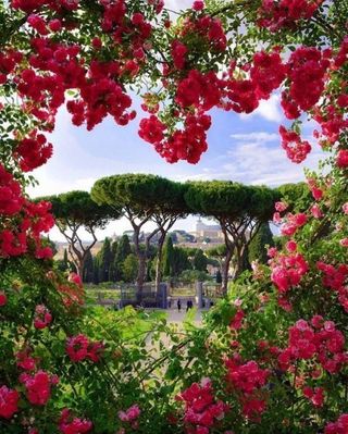 Q Queens Rose garden view.jpg