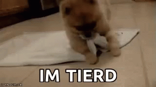 sunday-im-tired.gif