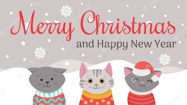 christmas-cats-merry-meow-christmas-illustrations-cute-cats-with-knited-hats-sweaters-scarf_255592-48.jpg