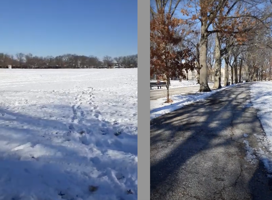 Screen Shot 2022-01-08 at 12.32.28 PM.png